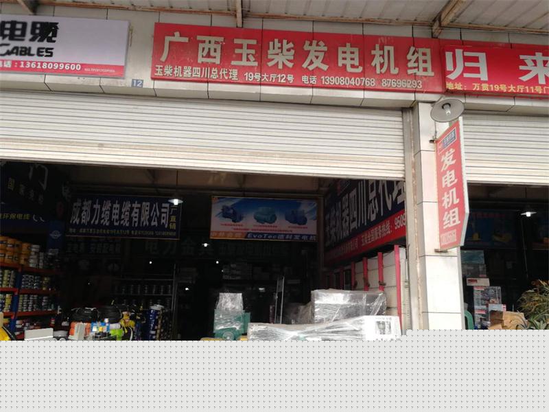 四川發(fā)電機(jī)組門店展示