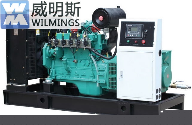四川新能源發(fā)電機(jī)-沼氣發(fā)電機(jī)